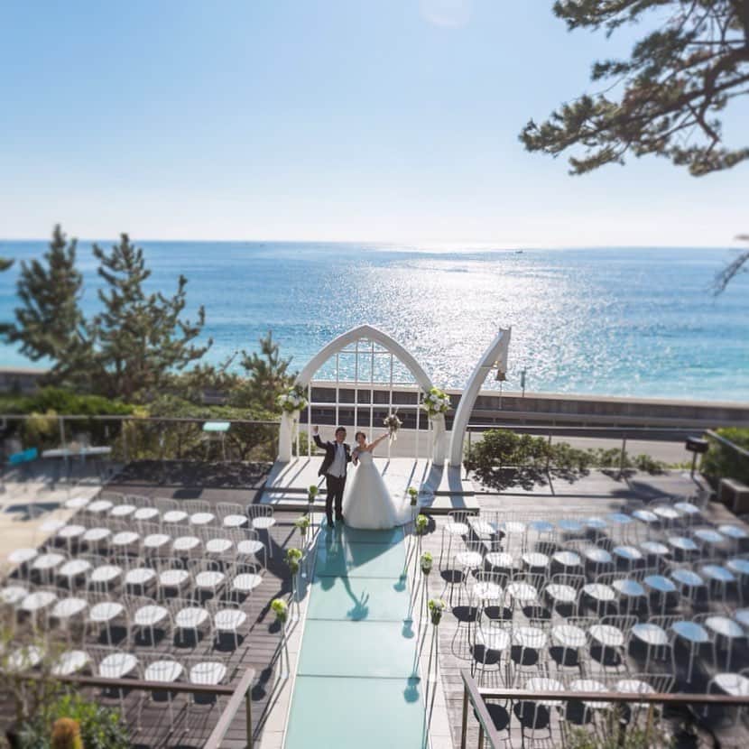 指帆亭のグルメインスタ