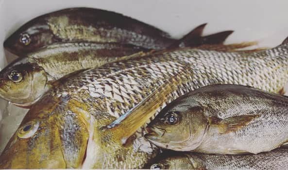 リストランテAO[公式]?イタリアン(青山店/逗子店)のグルメインスタ