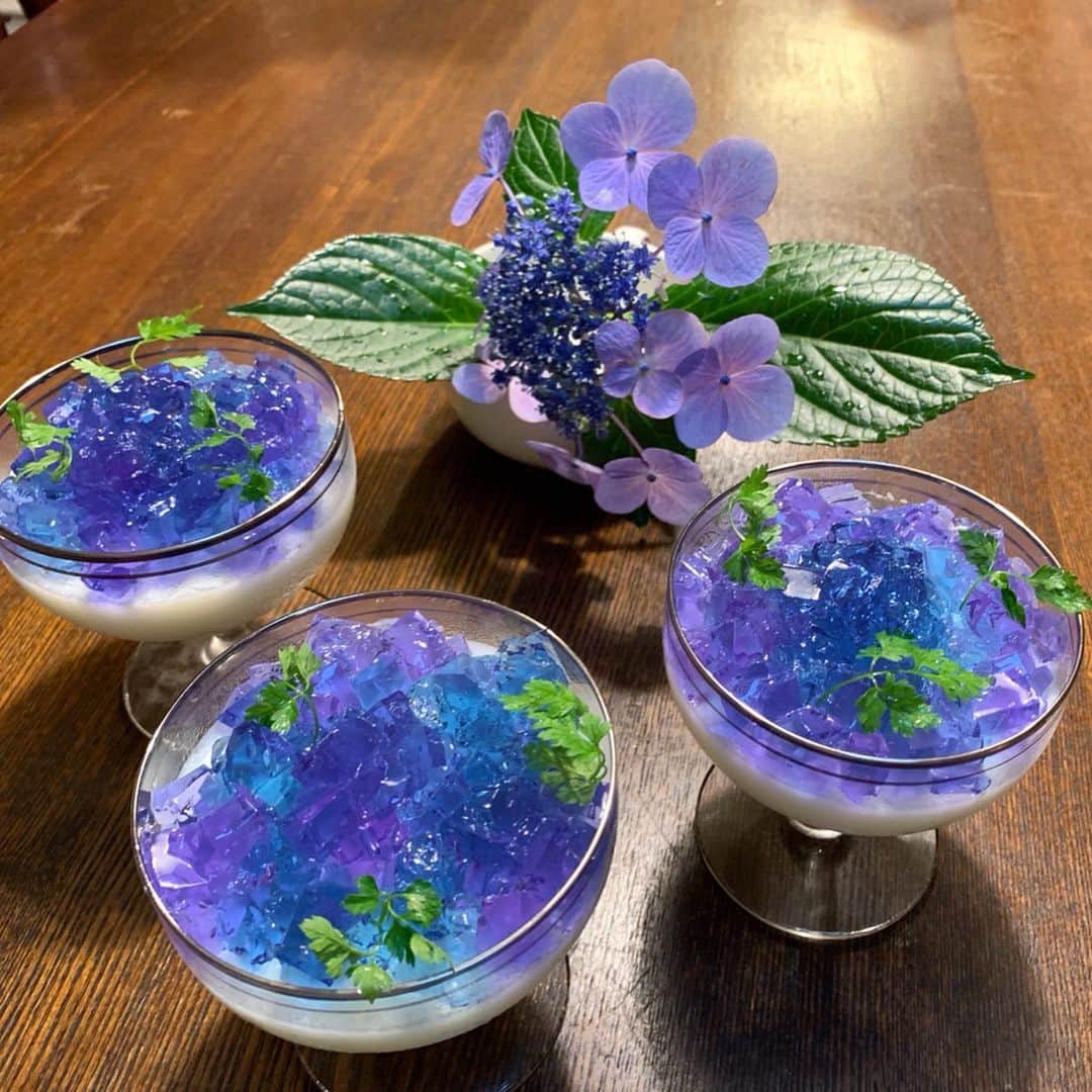 のインスタグラム：「🍧アジサイゼリー☔️作ってみた✨ これは！ 作って楽しい✨食べて美味しい‼️ 祖母も喜んでくれました👵 きっと親子で作っても楽しいですよ‼️ 今回着色に使用したのは、 タイでは🇹🇭有名な『ButterflyPea』 という、ハーブティで、天然色✨ カンボジアにいる兄嫁様にお願いして送ってもらいました🥺❤️ このハーブティ、レモン🍋を入れると、 紫になるんです！✨ このハーブティが無くても、 ネットでは、カキ氷のシロップ等で着色してました。  作り方はとっても簡単！！ 材料もシンプル！！ 下の白い土台は、 ⭐︎牛乳🥛 ⭐︎ゼラチン ⭐︎砂糖 以上！！ 上の色ゼラチンは、 牛乳同量の⭐︎水 ⭐︎砂糖 ⭐︎ゼラチン 以上！ 牛乳は500mlで、このカップ3つ分です。  後は固めて、 しっかり固まった、着色ゼリーを 角切りにしてトッピングするだけ‼️ もうすぐ6月も終わりますが、ぜひ 紫陽花のこの時期に😊🌈☔️ #アジサイゼリー  #紫陽花ゼリー  #紫陽花  #日本 #梅雨  #四季  #美しい日本  #鎌倉 #湘南 #ゼリー #デザート #簡単おやつ  #親子クッキング  #女子会 #来客 #おもてなし #butterflypea #tea #lemongrass #jelly #butterfly #pea #blue #coller」