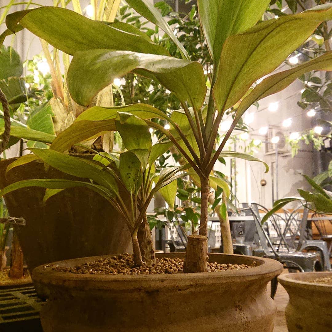 ESTINATE HOTELのグルメインスタ