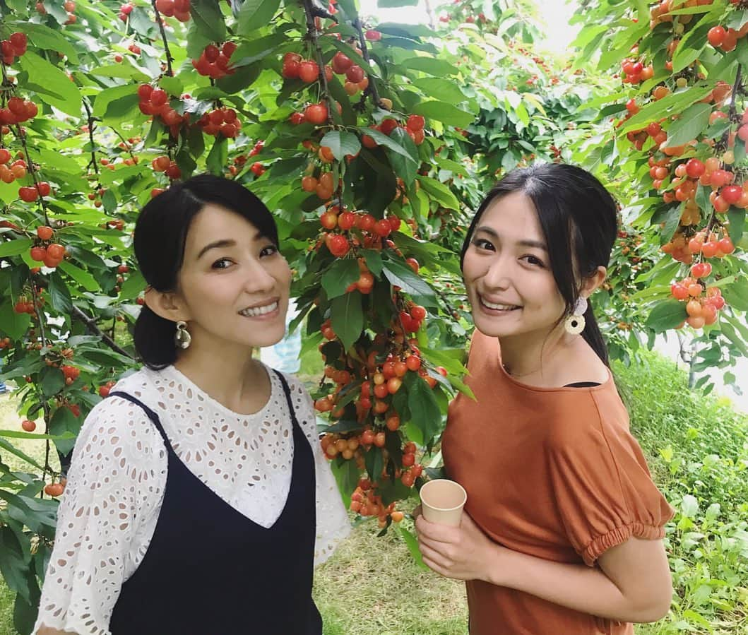 川田希さんのインスタグラム写真 - (川田希Instagram)「楽しみにしていたさくらんぼ狩り🍒 ゆっきー、2度目のレジャー部参加です😊 高級さくらんぼ「佐藤錦」が食べ放題！ びっくりするほどたわわに実ったさくらんぼを食べまくりました😋🍒」6月29日 19時17分 - nozomikawata