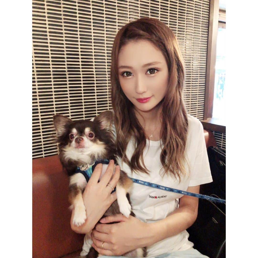 七瀬美月さんのインスタグラム写真 - (七瀬美月Instagram)「姉とdogcafeへ💓🐶☕︎ .  まろさん動画の水飲んだフリやばいw😂 水より、はやくササミくれてきな🐶🌟 . .  姉に抱っこされてる間に ずっと目で追ってたトイプードル🐩が 帰っちゃってて、そこからまろさんのテンション めっちゃ下がってたw  わかりやすい😂 .  帰ってスーパー行って一息💕🐱✨ .  #ドックカフェ#dogcafe#ササミ #dog#tokyo  #ランチ#まろさん#チワワ#複数枚投稿#nakano  #梅雨#雨#aneacafe#ご飯#cafe#カフェ#ペット #Chihuahua」6月29日 19時10分 - yskwask1114