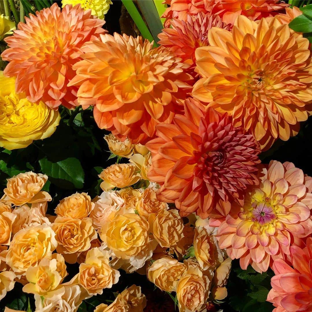 中川友里のグルメインスタ