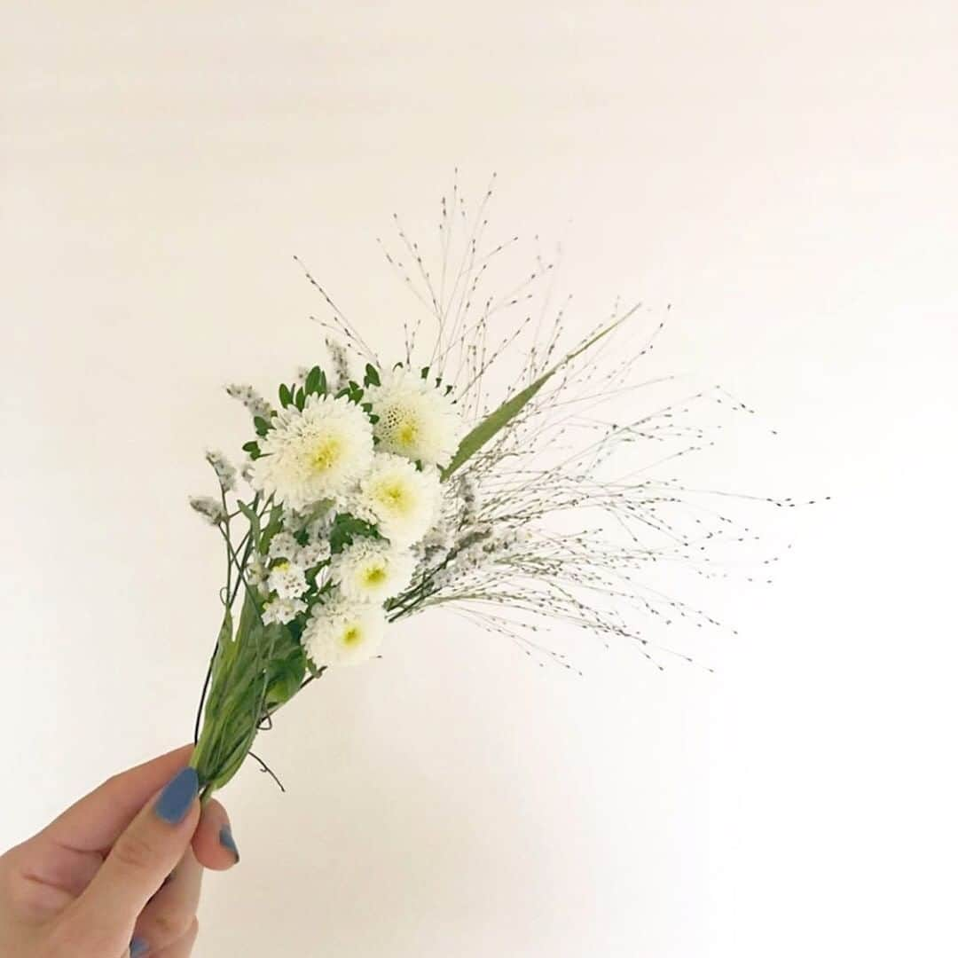 Bloomee LIFEさんのインスタグラム写真 - (Bloomee LIFEInstagram)「・⠀ 朝起きていちばんに窓を全開する🎐⠀ そして花瓶の水を入れ換える🚰⠀ ⠀ 朝っていいな〜ってなる🌼⠀ ・⠀ Special Thanks Photo by⠀⠀⠀ @aki5_429⠀ ・⠀ お花を生活に取り入れてから⠀ 生活リズムが自然に整ってきた🌸⠀ ⠀ という嬉しいお声をユーザーさんから⠀ 沢山頂いています🤗⠀ ⠀ 朝の時間を楽しめる生活、とても素敵ですね✨⠀ ・⠀ #bloomeelife#ブルーミーライフ#花のある生活#花好きな人と繋がりたい#おうち時間#花部#花写真#花が好き#花を飾る#暮らしを楽しむ#日々の暮らし#丁寧な暮らし#日々#お花のある暮らし#ナチュラル#素敵な休日#暮らしを整える#くらしのきほん#日々の暮らしを楽しむ#丁寧に暮らす#女子力向上委員会#マイルーム#ホワイトインテリア#花のある生活#日常 #北欧インテリア#朝時間#朝活#リノベーション#シンプルインテリア」6月29日 20時00分 - bloomee