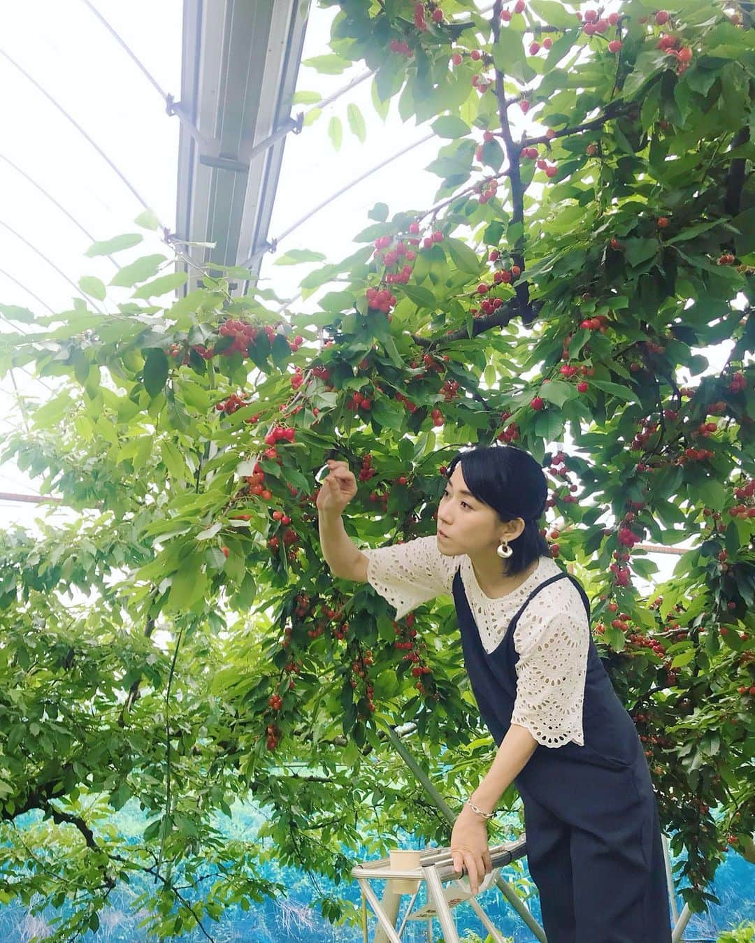 川田希さんのインスタグラム写真 - (川田希Instagram)「無心にさくらんぼを選んで、食べて、頬張りながらまた選び、食べまくりました😋🍒 選んでる顔が真剣すぎる笑笑  撮影📷 川村ゆきえ」6月29日 20時27分 - nozomikawata