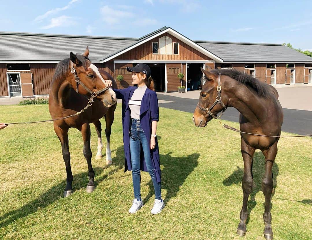 松中みなみさんのインスタグラム写真 - (松中みなみInstagram)「競馬の日本最大のセリ🐴  セレクトセールまで 早くも10日を切りました😳！ ・ ・ 先週 上場予定馬の下見に行った時の📸✨（私には絶対買えないけどw ） ・ #ノーザンホースパーク の牛タンサラダ🥗めちゃ美味しかった😍💖 ・ ・ 今年はどんなドラマが生まれるのか🥺✨ 億越え続出で 自分の金銭感覚がおかしくなってくのも ある意味楽しみ😂 ・ どの仔も馬主さんとの素敵な出会いがありますように💫 ・ ・ #競馬 #セリ #セレクトセール #ノーザンファーム  #セレクトセール2019  #この時期すぐ寒くなる #まさかの #ダウンコート  #凱旋門 #越えた先にはトイレ  #なんておしゃれな ✨ #北海道 #苫小牧ランチ #ガーデンレストラン」6月29日 20時26分 - minami_matsunaka