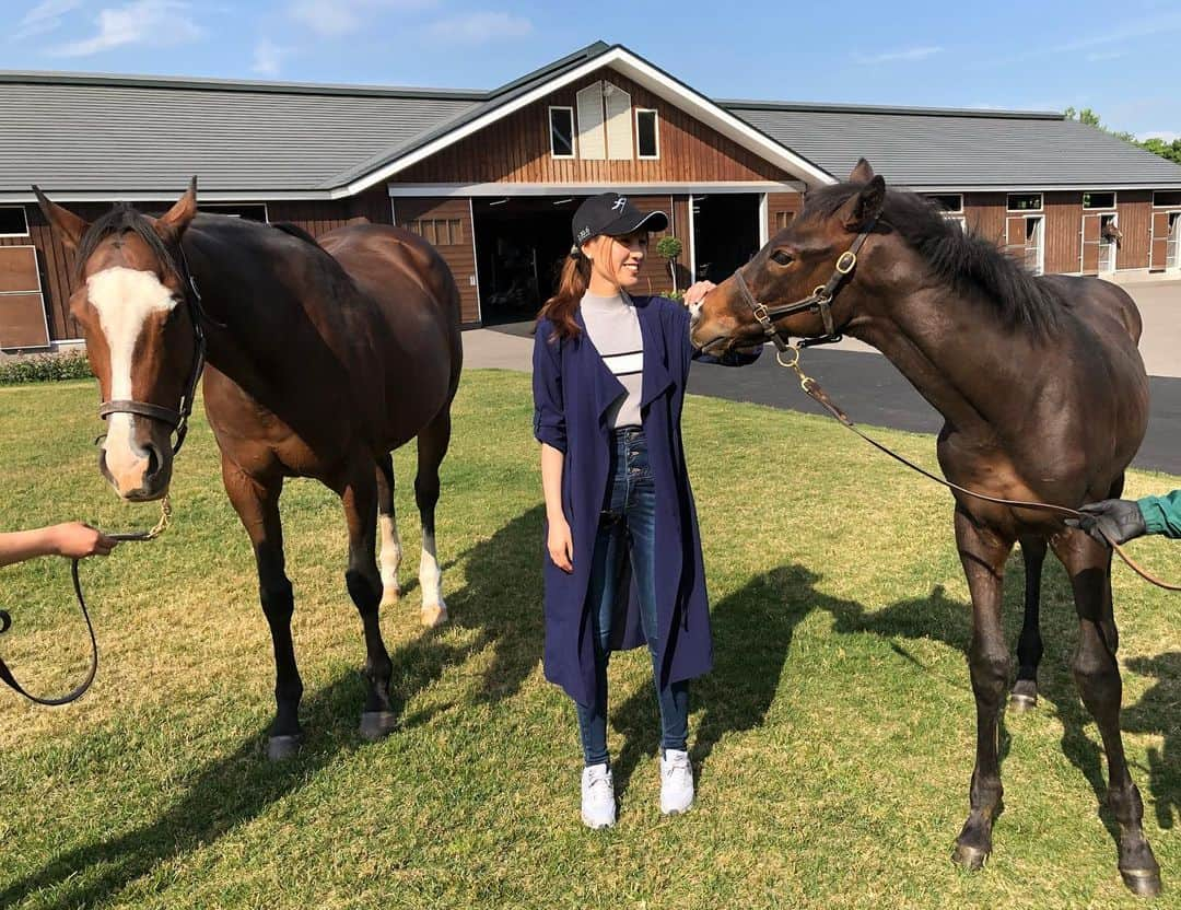 松中みなみさんのインスタグラム写真 - (松中みなみInstagram)「競馬の日本最大のセリ🐴  セレクトセールまで 早くも10日を切りました😳！ ・ ・ 先週 上場予定馬の下見に行った時の📸✨（私には絶対買えないけどw ） ・ #ノーザンホースパーク の牛タンサラダ🥗めちゃ美味しかった😍💖 ・ ・ 今年はどんなドラマが生まれるのか🥺✨ 億越え続出で 自分の金銭感覚がおかしくなってくのも ある意味楽しみ😂 ・ どの仔も馬主さんとの素敵な出会いがありますように💫 ・ ・ #競馬 #セリ #セレクトセール #ノーザンファーム  #セレクトセール2019  #この時期すぐ寒くなる #まさかの #ダウンコート  #凱旋門 #越えた先にはトイレ  #なんておしゃれな ✨ #北海道 #苫小牧ランチ #ガーデンレストラン」6月29日 20時26分 - minami_matsunaka