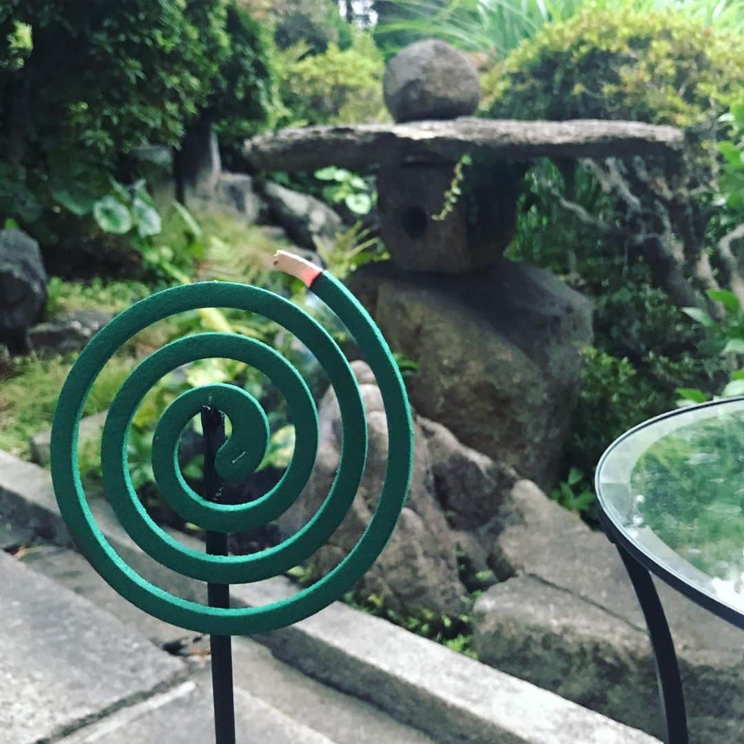 TOGGYのグルメインスタ