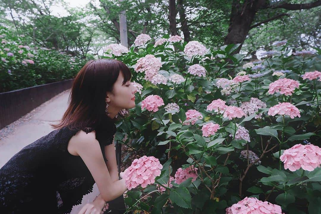 宮瀬彩加さんのインスタグラム写真 - (宮瀬彩加Instagram)「紫陽花の季節も過ぎてくね。儚 い つぎは向日葵かな。季節をお花で感じるがすきです。」6月29日 20時47分 - ayaka_miyase