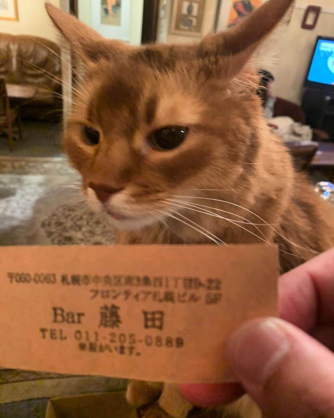 白鳥雪之丞のグルメインスタ