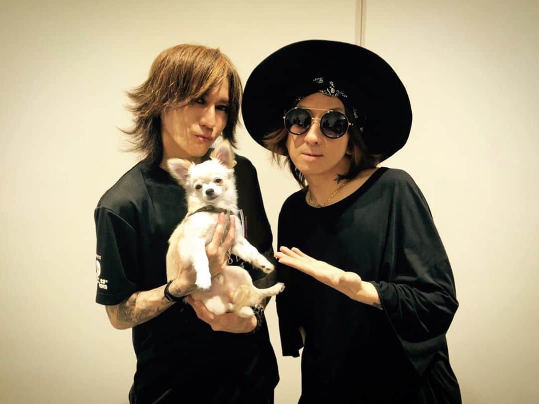 SUGIZOさんのインスタグラム写真 - (SUGIZOInstagram)「with 清春&犬 @ GBGB 😀」6月29日 21時34分 - sugizo_official
