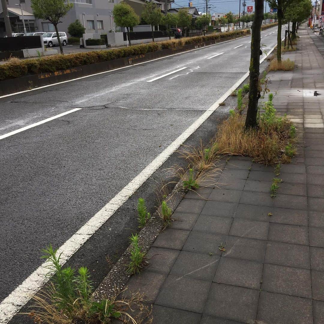 濱田卓実のインスタグラム