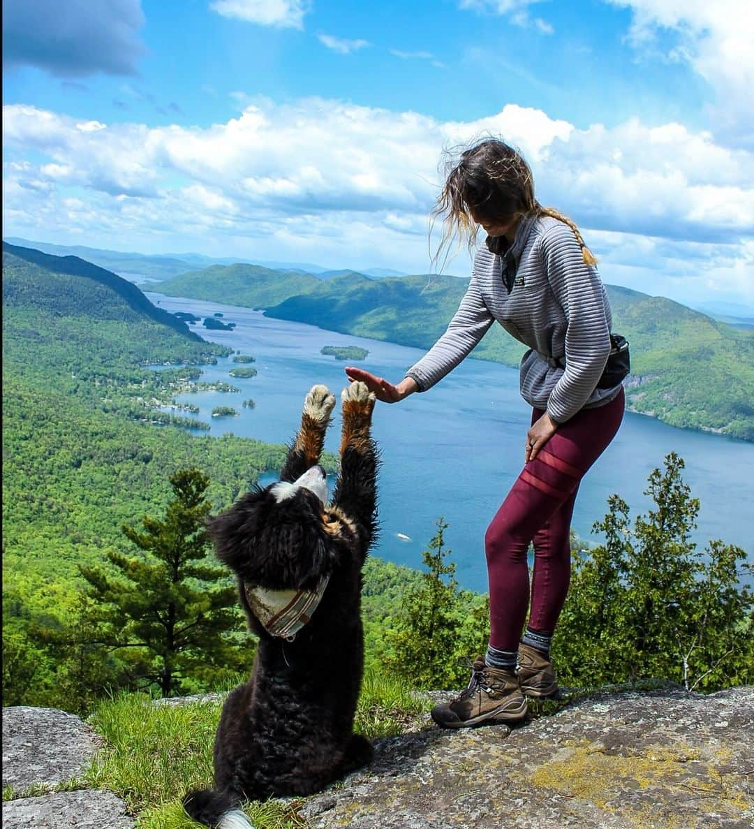 L.L.Beanさんのインスタグラム写真 - (L.L.BeanInstagram)「Summer goes by way too fast – sometimes you have to press paws. 🐶 #BeanOutsider #SmoreOutofSummer (📷: @rachloden)」6月30日 7時51分 - llbean