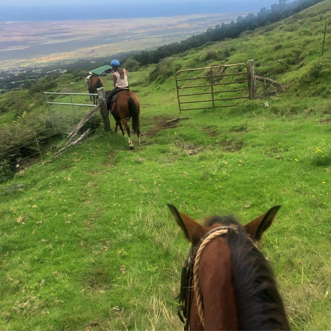サマンサ・シザーリオさんのインスタグラム写真 - (サマンサ・シザーリオInstagram)「Truly an unbelievable experience horseback riding up a mountain in Kula this morning. These photos don't do it justice, but we got to see so many beautiful animals and breathtaking views of Hawaii 🤗⛰💕」6月30日 7時56分 - sammi.kramer