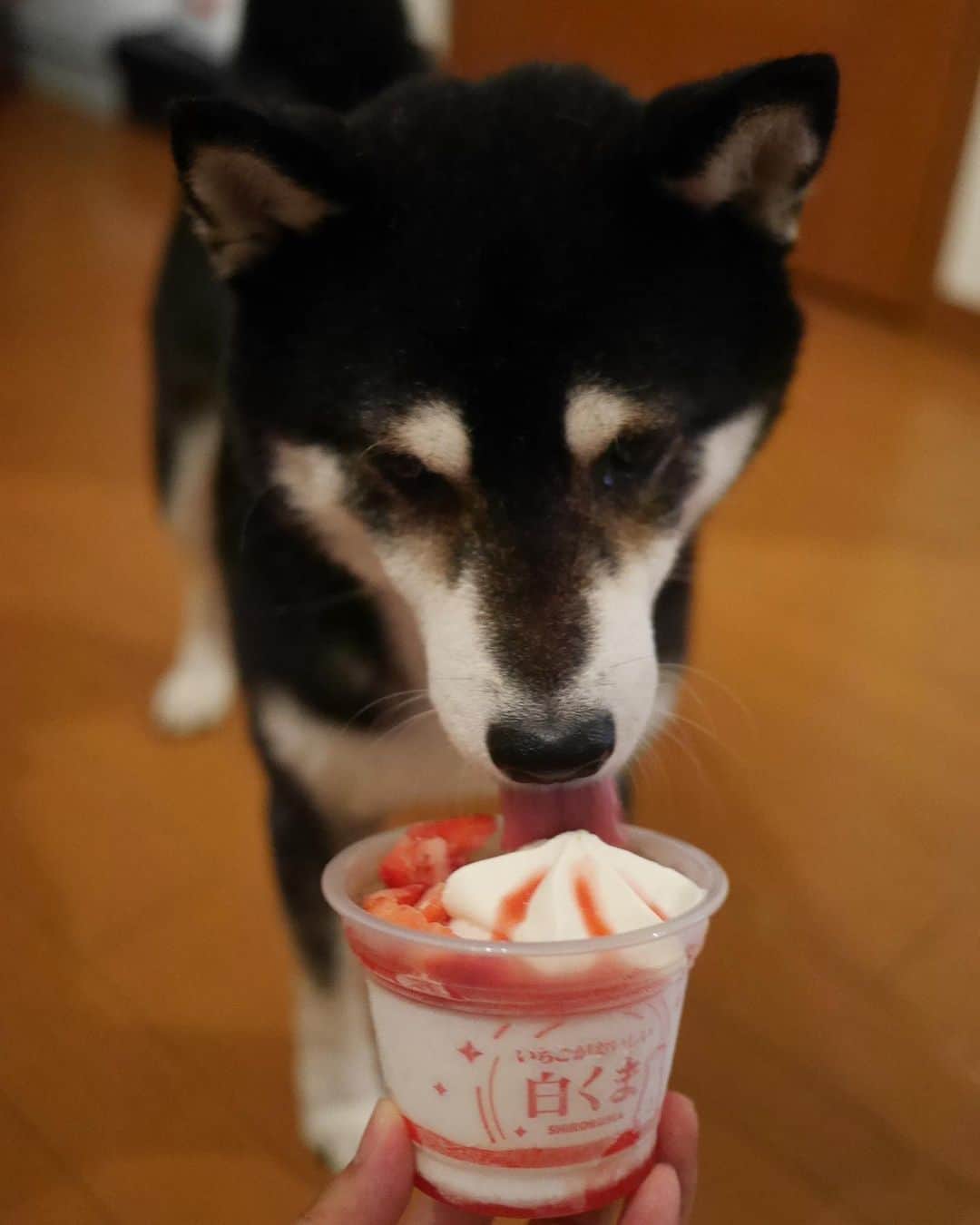 くろのインスタグラム
