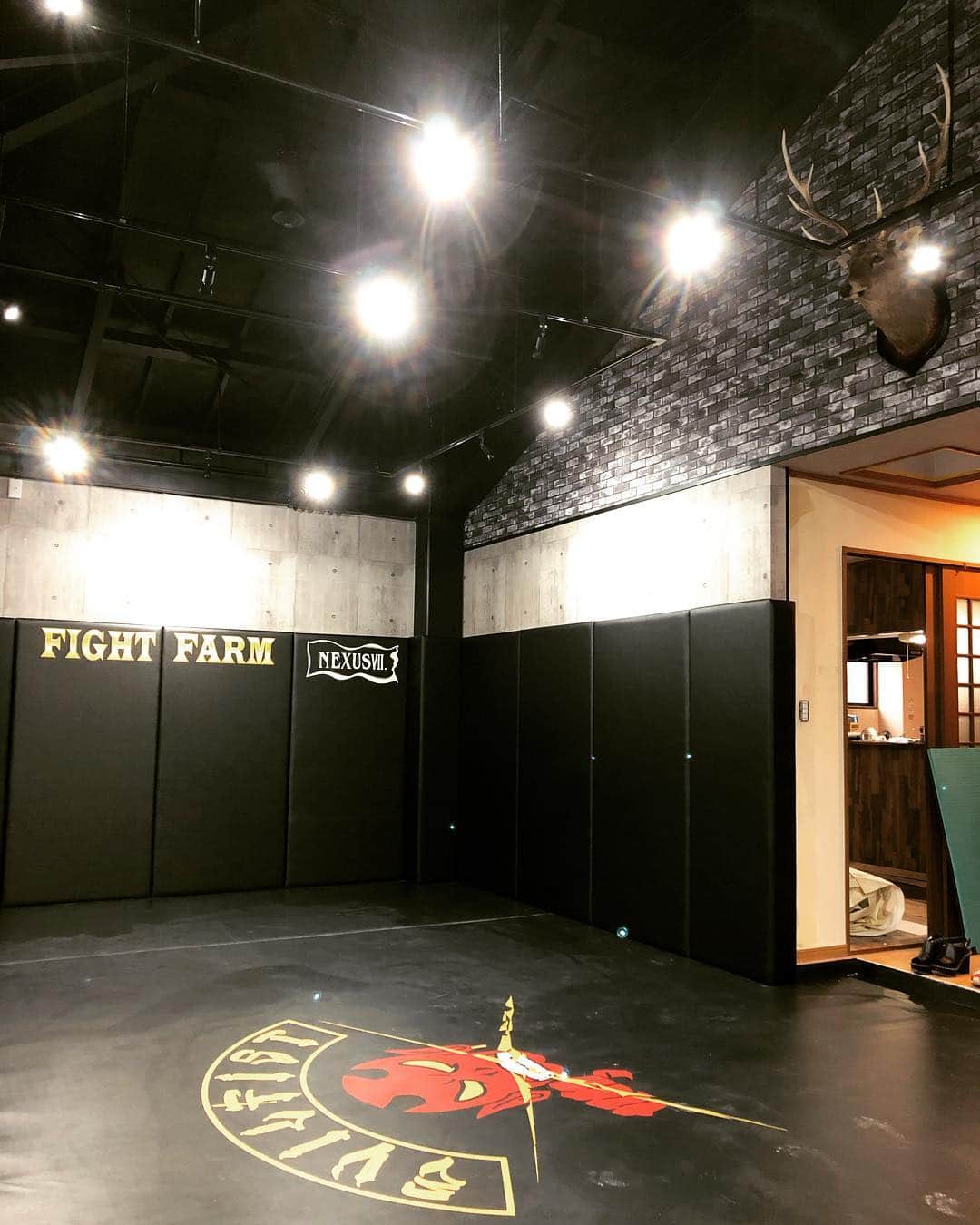 高谷裕之さんのインスタグラム写真 - (高谷裕之Instagram)「#evilfist #fightfarm #nexus7 #鹿 #津田沼」6月29日 23時44分 - takaya.evilfist