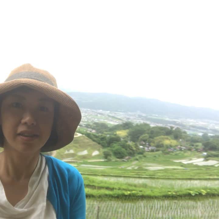 小谷あゆみのインスタグラム