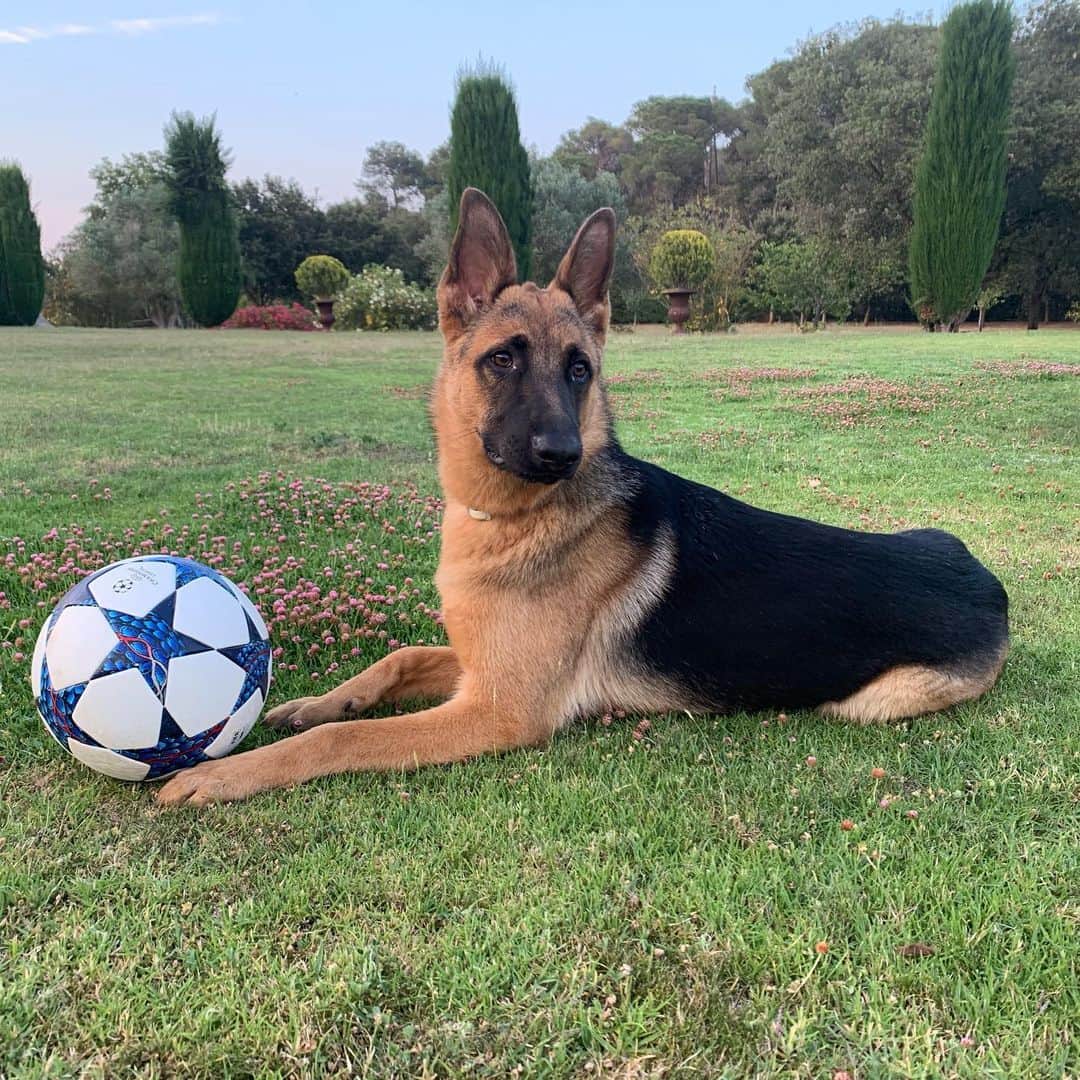 カルレス・プジョルのインスタグラム：「Mis dos pasiones #simón🧡 ⚽️」