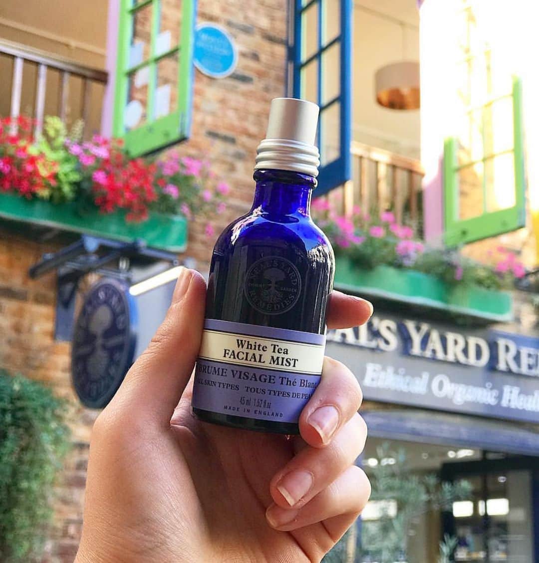 Neal's Yard Remediesさんのインスタグラム写真 - (Neal's Yard RemediesInstagram)「All we need today to keep cool!🌞 Pssst one of our favourite beauty hacks is to keep it in the fridge for an extra refreshing spritz!💦」6月30日 5時35分 - nealsyardremedies