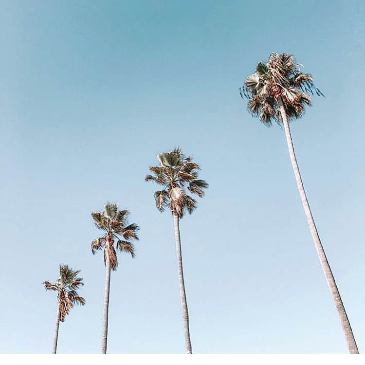 シービーズのインスタグラム：「Saturday views...where are you lounging?」
