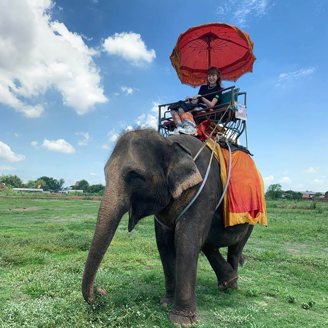 吉田菫さんのインスタグラム写真 - (吉田菫Instagram)「【 タイ🇹🇭③】 . トラと象さんに触った🐯🐘 そして象さんに乗った！ すごくすごく可愛くて、優しかった😌 . 正直、少し心が痛くなったりもしたのだけど。。 この子達が、幸せに、沢山ご飯を食べて、楽しいと思える時間があるように祈る✝️ いっぱい喋りかけて 頑張ってね、ありがとうねって 言ってきた😌👏🏻 すごく優しくて可愛かった！ . #すぅ旅 #タイ #thailand」6月30日 16時28分 - sumiredooon1228