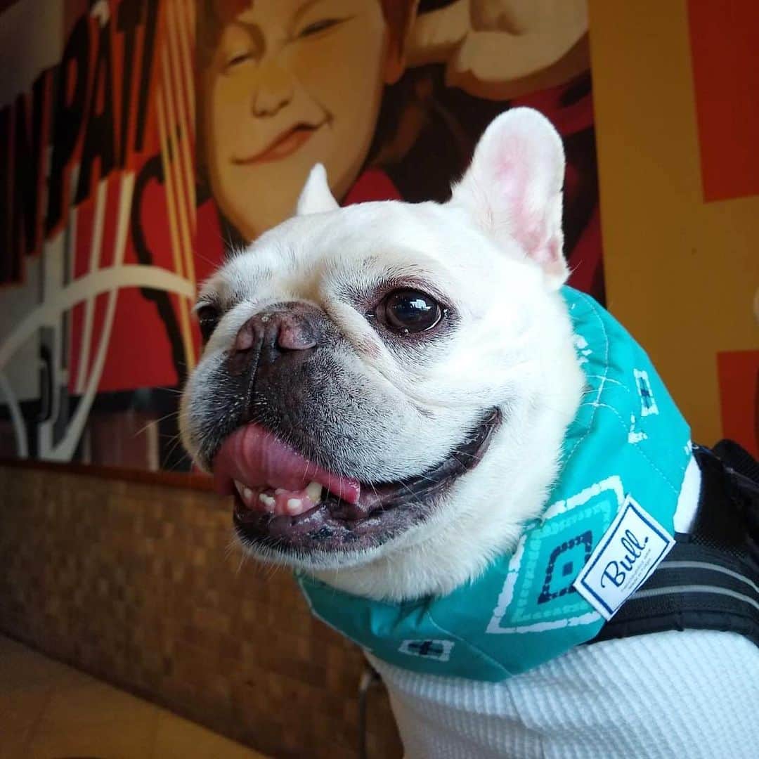 Udon うどんのグルメインスタ