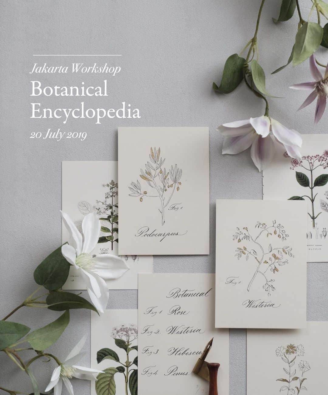 Veronica Halimさんのインスタグラム写真 - (Veronica HalimInstagram)「Upcoming Workshop in Jakarta 20 July 2019 at @ruangduasembilan — Calling for all botanical lovers and for those who want to learn pointed pen calligraphy skills that goes well with this simple line sketches inspired by the vintage botanical prints. — For registration, please visit my website (link on profile) — #trufypi #vhcalligraphy #calligraphyworkshop #kaligrafina #jakartaworkshop #jakartacalligraphy #botanicalsketch #botanicaldrawing #painting #botanicalprints #カリグラフィー #カリグラフィースタイリング #calligraphystyling」6月30日 17時43分 - truffypi