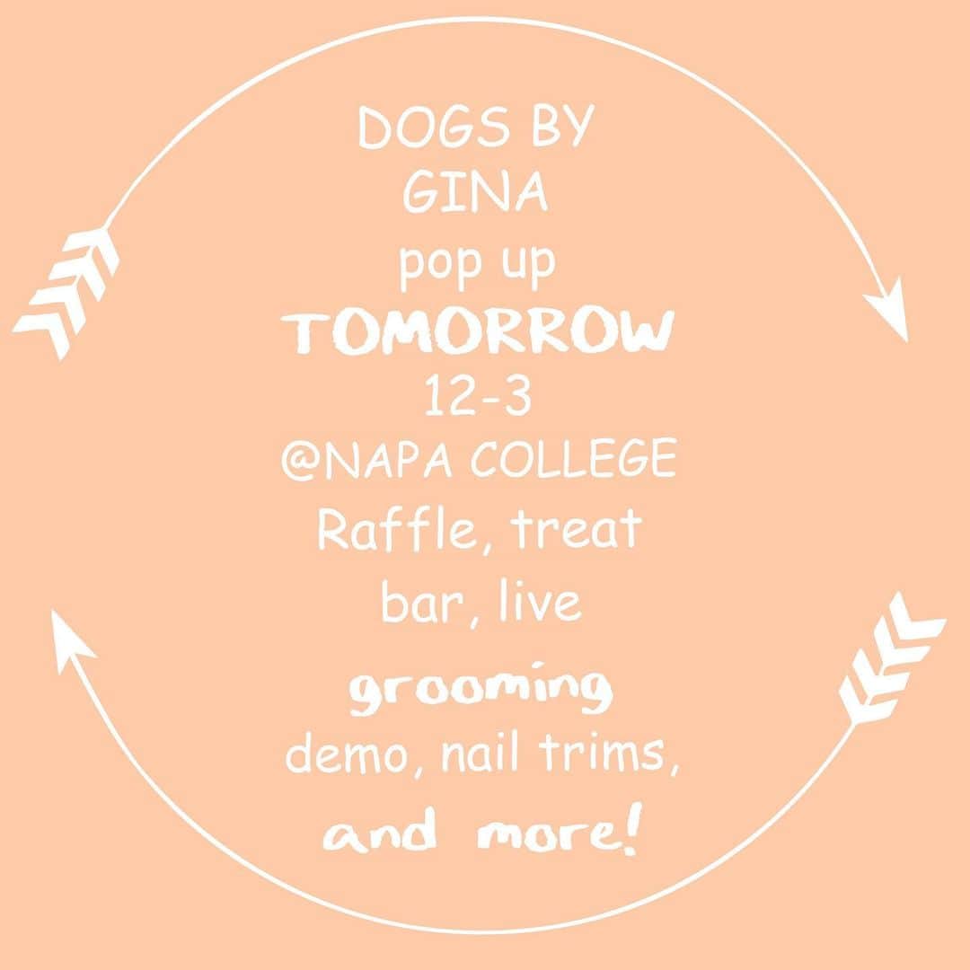 Dogs by Ginaさんのインスタグラム写真 - (Dogs by GinaInstagram)「Come out tomorrow and support local rescue Whiskers and Tails in their annual dog show.」6月30日 8時57分 - napanatural.dogco