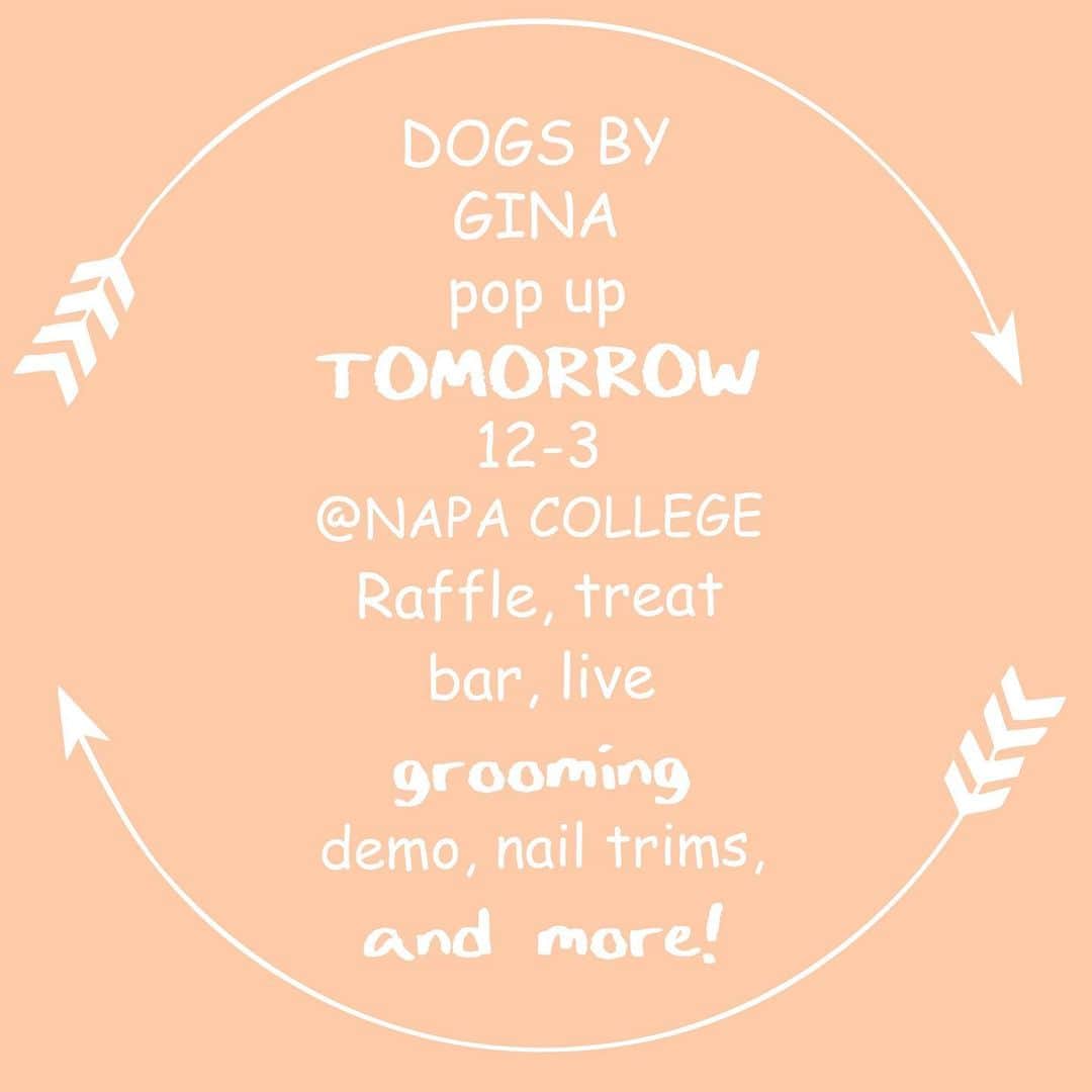 Dogs by Ginaのインスタグラム：「Come out tomorrow and support local rescue Whiskers and Tails in their annual dog show.」