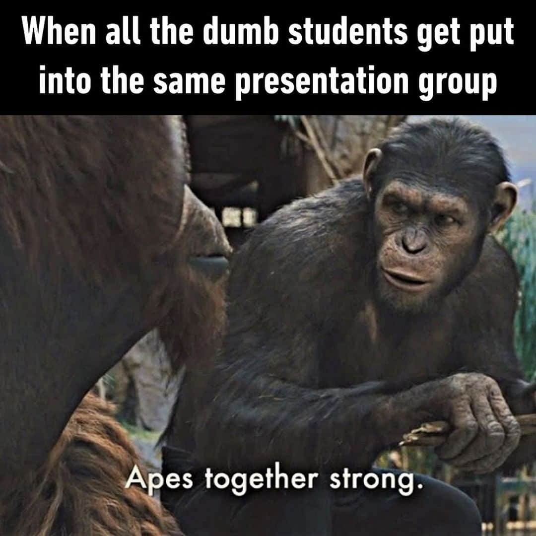 9GAGさんのインスタグラム写真 - (9GAGInstagram)「We got this⠀ ⠀ #student #presentation #9gag」6月30日 9時00分 - 9gag