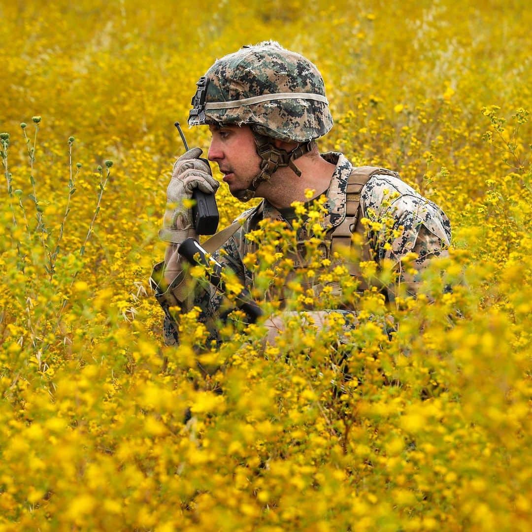 アメリカ海兵隊さんのインスタグラム写真 - (アメリカ海兵隊Instagram)「Flower Power  A Marine with 3rd Light Armored Reconnaissance Battalion, @1stmardiv patrols during a squad competition at @mcb_camp_pendleton, June 26, 2019. (U.S. Marine Corps photo by Cpl. Teagan Fredericks)  #USMC #Marines #Military #MarineCorps」6月30日 9時00分 - marines