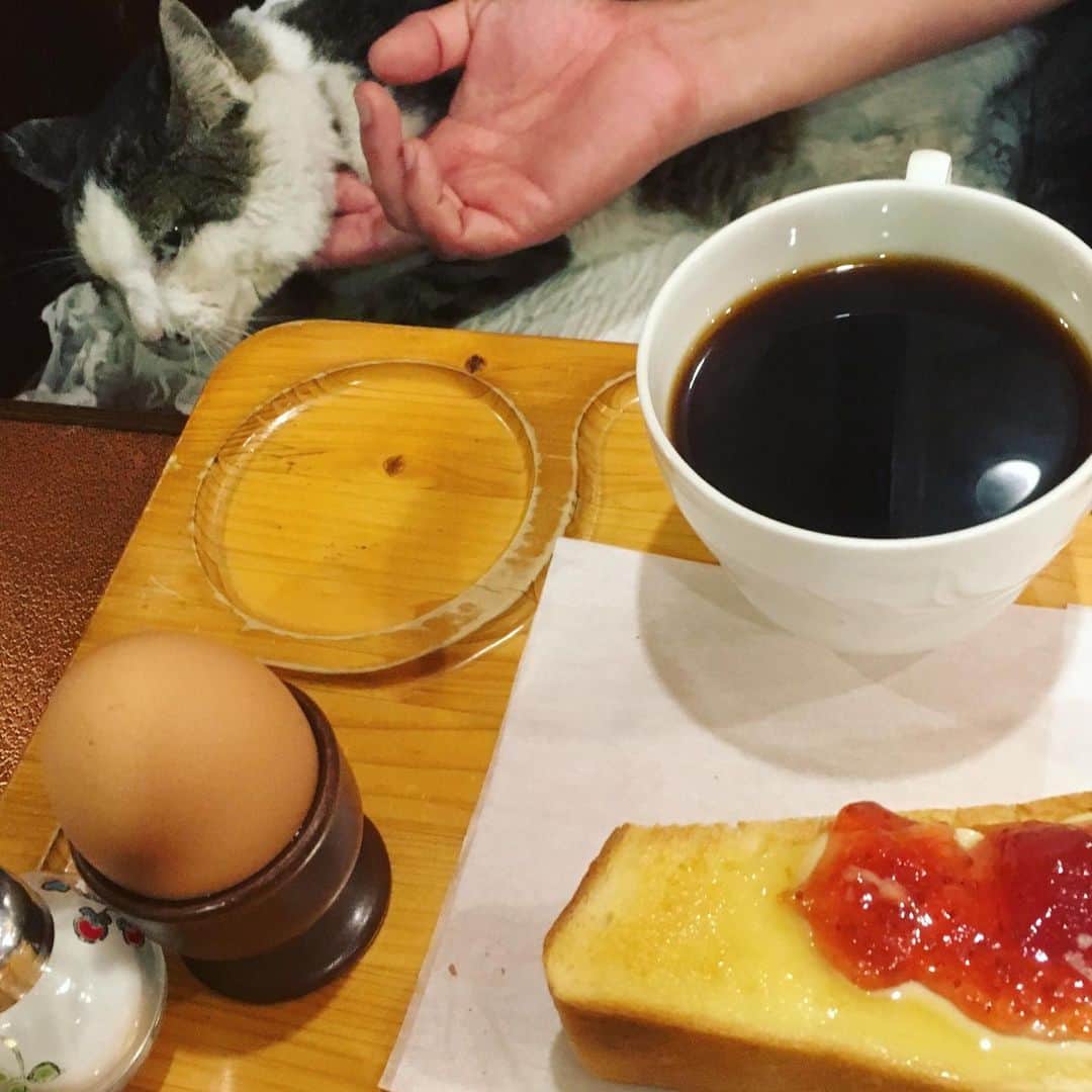 TOGGYのグルメインスタ