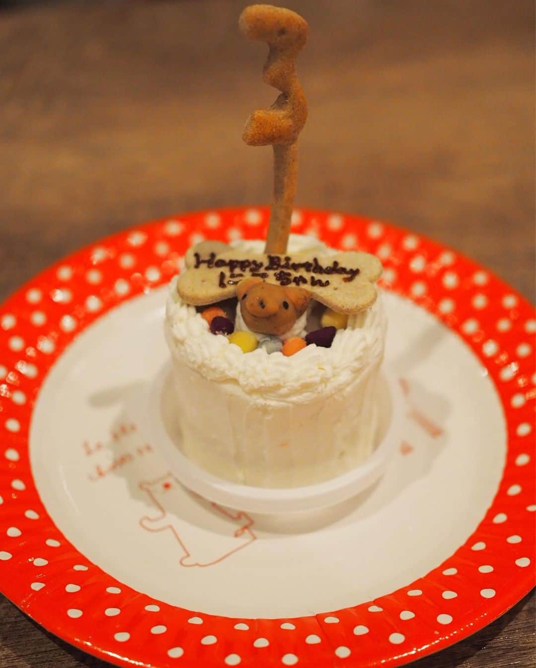 豆柴にこちゃんさんのインスタグラム写真 - (豆柴にこちゃんInstagram)「🐶🎂👱‍♂️退院５日目 おはよー にことパパの誕生日ケーキ。 にこ3歳、パパ43歳の「3」入り☺️ ※人間がおいしく頂きました😋 . 今年はにこも食が細いし、 パパも仕事で帰り遅いし 来週は私出張だしで これといった誕生日祝いできずなので せめてケーキだけでも🍰 . それに先月、豆ちゃんぽっちゃんが お祝いしてくれたから それが良い思い出に😍🎁 最後の3枚はその時の。 . 4枚目は恒例の撮影の裏側。 . #柴犬#豆柴#pecoいぬ部#犬#わんこ#犬#ここ柴部#shibainu#dog#mameshiba#pecotv#dog#いぬのきもち部#しばいぬ#しばけん#こいぬ#シバイヌ#いぬ#イヌ#赤柴#マメシバ#ペット#日本犬#子犬#puppy#doggo#pet#시바견#강아지#개」6月30日 9時30分 - nikochan.mame48