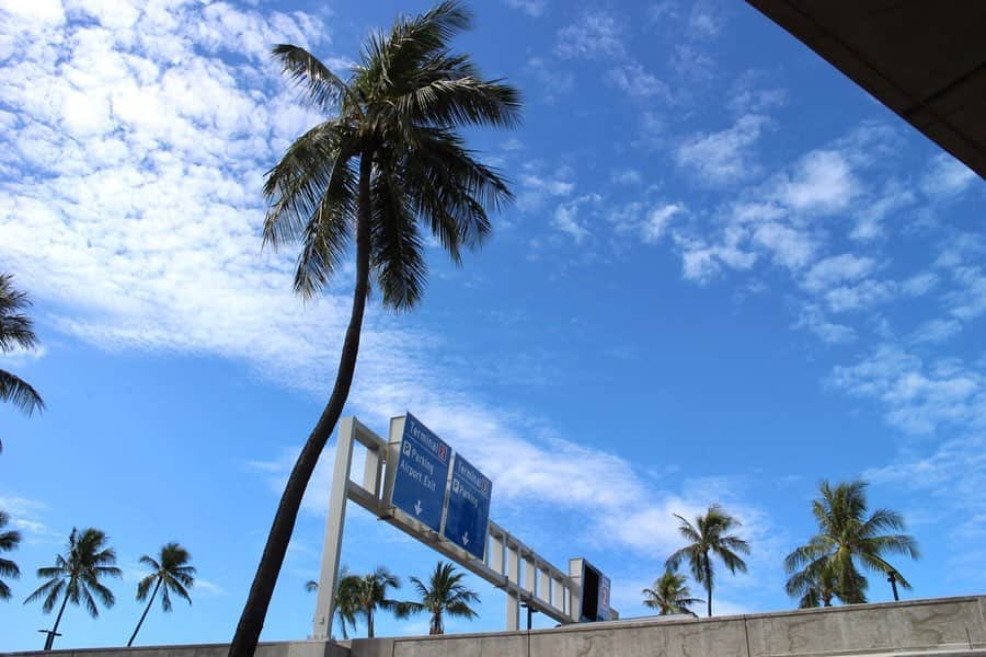 工藤遥さんのインスタグラム写真 - (工藤遥Instagram)「☺︎ ハワイに来ています🌴🌴 今回は、お仕事ではなくプライベート . #宮崎由加ちゃんも一緒 #Hawaii#今年2度目です」6月30日 10時12分 - haruka_kudo.official