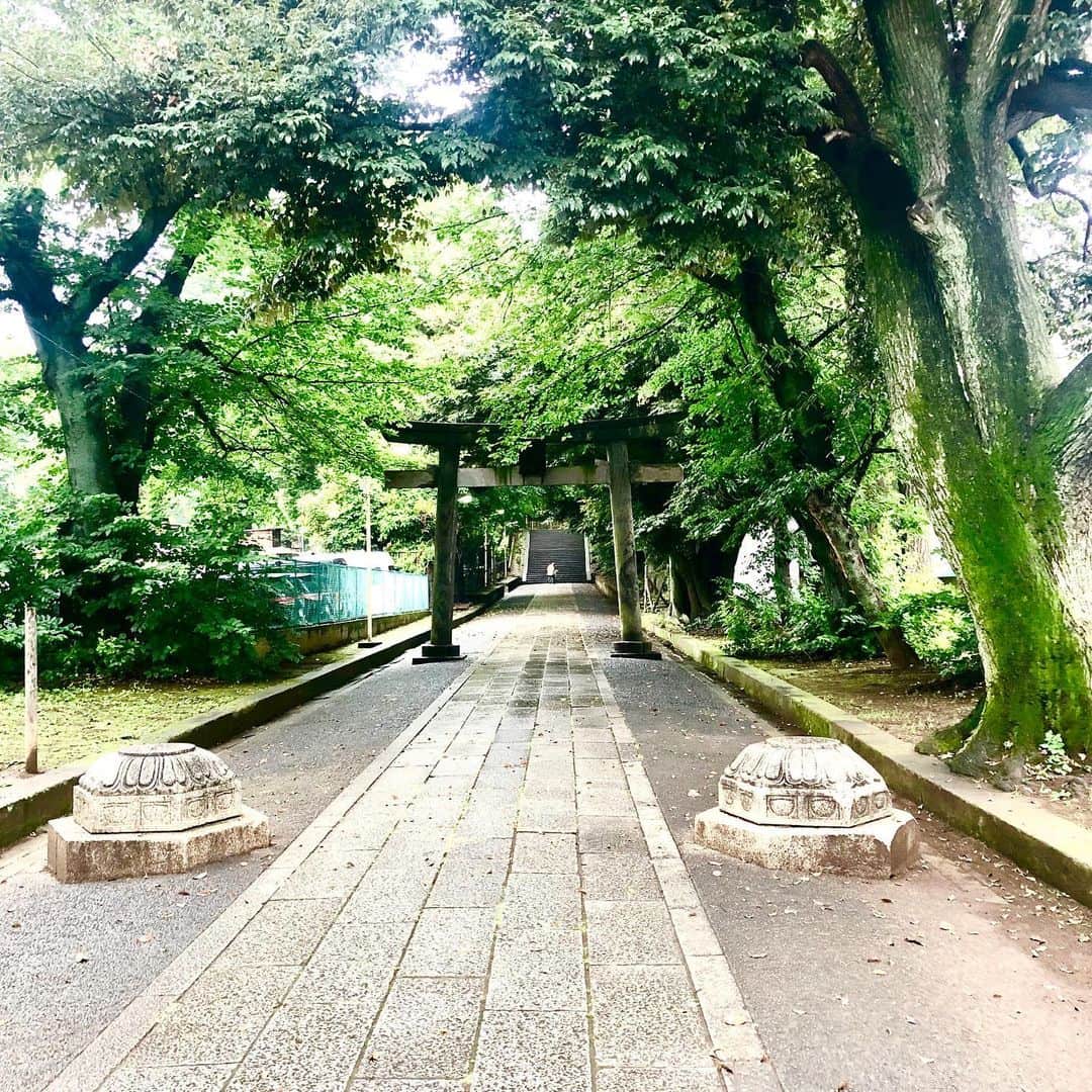 佐伯紅緒さんのインスタグラム写真 - (佐伯紅緒Instagram)「雨の日曜日、今日は夏越の祓。  氏神様へご挨拶に来ました。 節目だなあ、とつくづく感じます。 後半戦もしまっていきたいです。  #氷川神社 #夏越の祓」6月30日 10時36分 - beniosaeki