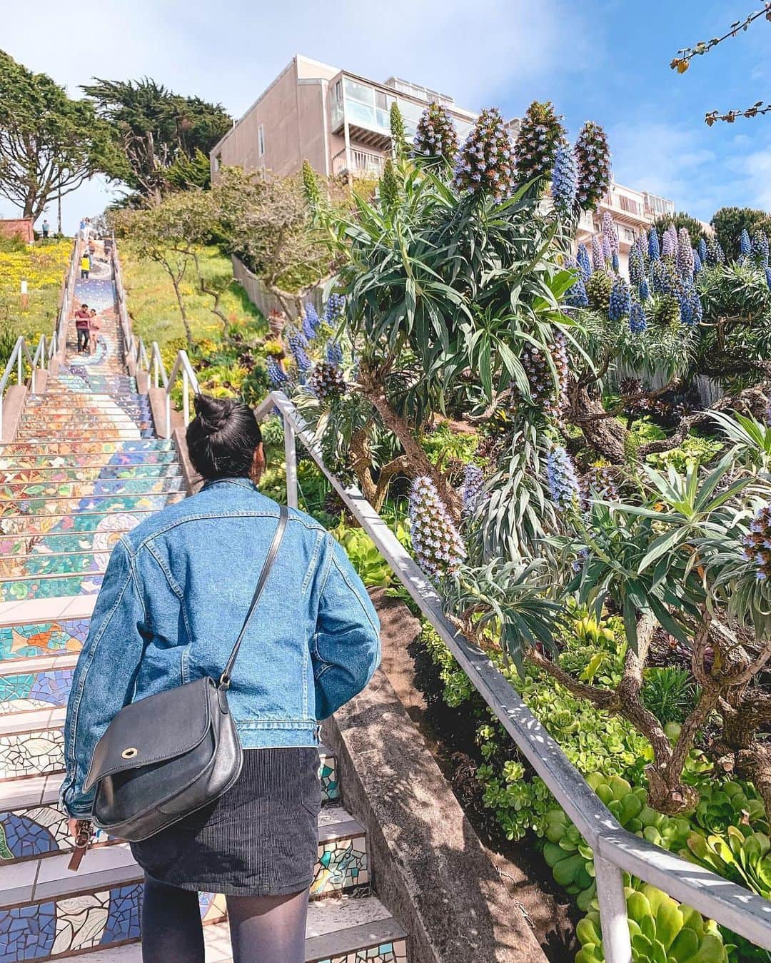 ハワイアン航空さんのインスタグラム写真 - (ハワイアン航空Instagram)「One trip to the #BayArea and you'll fall in love 😍 The next time you're there, check out the Mosaic Stairway - it's one of our favorite hidden art gems! We offer daily non-stop flights between SFO, OAK, SJC and several Hawaiian Islands! Book today: https://www.hawaiianairlines.com/book/flights」6月30日 11時34分 - hawaiianairlines