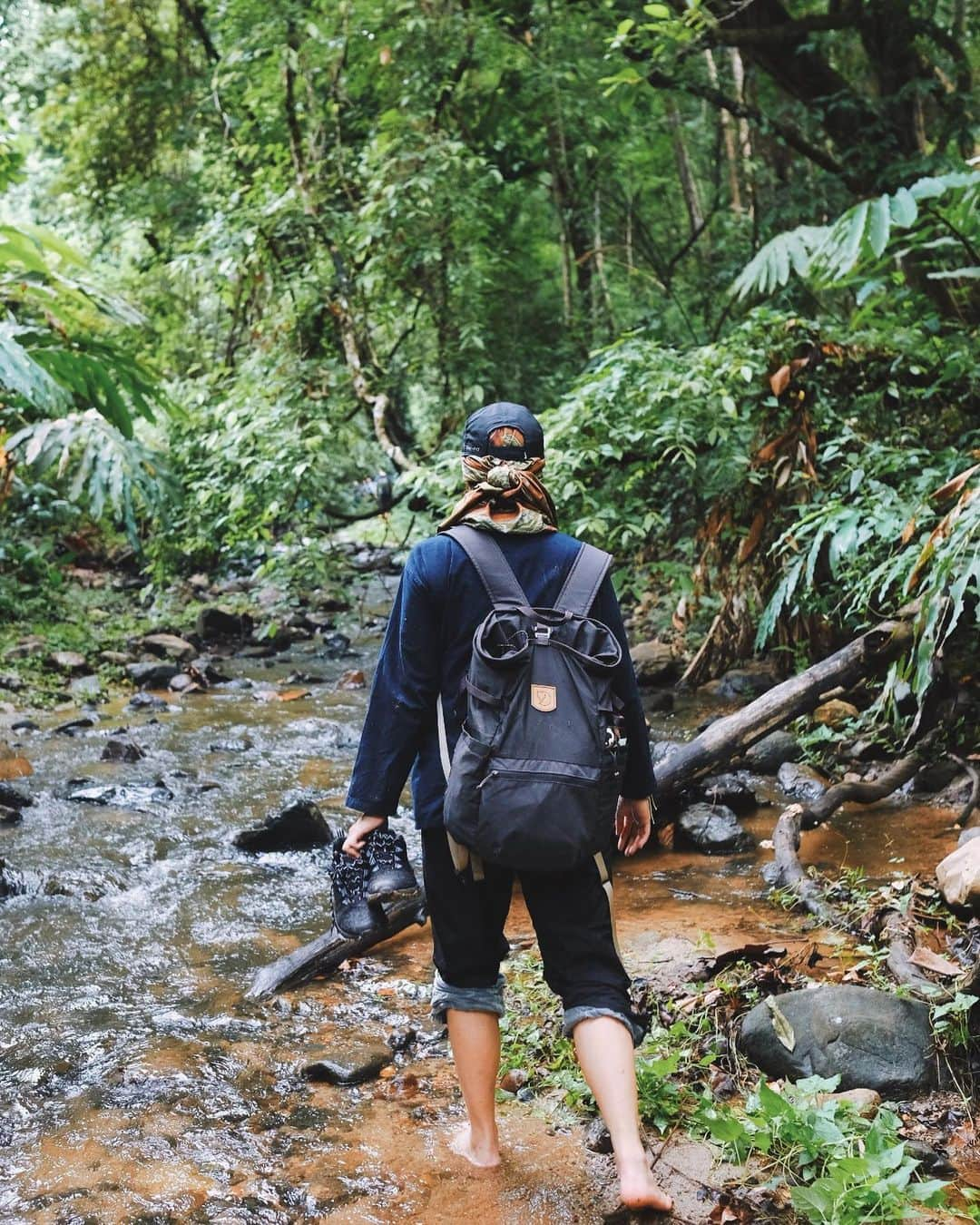 Amata Chittaseneeさんのインスタグラム写真 - (Amata ChittaseneeInstagram)「#Forestbathing #อาบป่า #ShinrinYoku #森林浴 Taking in the forest through our senses and I began to notice my surroundings with fresh eyes. As I start to observe new senses, it suddenly feels magical!  เดินกับสายน้ำ การเดินในป่าทำให้เราเห็นตัวตนของเราเอง เราเห็นสภาวะของตัวเอง เช่นความกลัว ความลังเล ความไม่แน่ใจ ต้องเดินแบบปลดปล่อย ทิ้งความเป็นตัวเราออกและย้อนความเป็นเด็กอีกครั้ง สื่อสารกับตัวเองลึกๆจากข้างใน เราจะรู้จักธรรมชาติมากขึ้น เมื่อเราสงบ เรานิ่ง เราเปิดประสาทสัมผัสให้กับตัวเอง เท้าสัมผัสน้ำ สัมผัสดินเราได้ยินเสียงน้ำ เสียงใบไม้ เสียงลม ได้กลิ่นดิน กลิ่นฝน ตาสังเกตุเห็นชีวิตในป่าและระบบนิเวศ ทำความเข้าใจว่าสรรพชีวิตผูกพัน และเกี่ยวโยงกับตัวเรายังไง  #pearypiegoesgreen #Thailand #chiangmai #Chiangdao #Voluntour01 #ปลูกต้นไม้ให้เป็นเมฆ #Voluntour @wonderingpango 📸」6月30日 11時43分 - pearypie