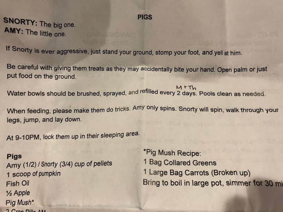 レイン・ウィルソンさんのインスタグラム写真 - (レイン・ウィルソンInstagram)「Saw these instructions for house/pet sitter on my assistants desk. Hysterical. #LifeWithPigs @mandrewsmakes」6月30日 11時59分 - rainnwilson