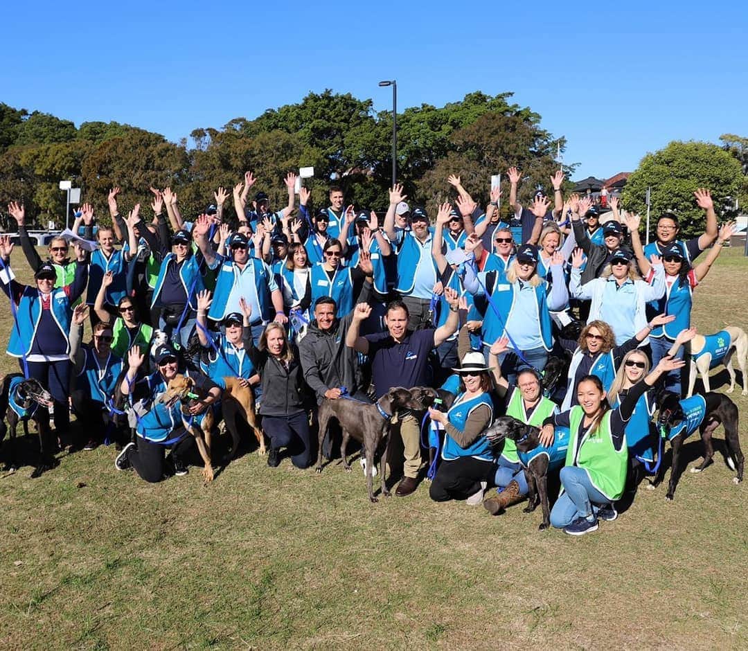 ティム・ケーヒルさんのインスタグラム写真 - (ティム・ケーヒルInstagram)「Thank you to everyone who came out for the @GAPNSW Adoption Day! It was great to see so many people supporting the program and the work GAP NSW does to re-home greyhounds 🐶 #GreyhoundsAsPets #GAPNSW 🐾」6月30日 17時59分 - tim_cahill