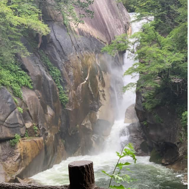 優ひかるさんのインスタグラム写真 - (優ひかるInstagram)「昨日は﻿ 元タカラジェンヌと行く﻿ 仲夏の山梨日帰りバスツアー✨✨﻿ ﻿ ご参加下さった皆様…想いを寄せて下さった皆様﻿ そしてこの様な企画を下さったくれあさん﻿ 本当にありがとうございました😊﻿ ﻿ 退団後久しぶりに現役時代から﻿ 応援して下さっている皆様と楽しい時間を﻿ 過さす事が出来私も本当に幸せでした✨✨﻿ ﻿ 幸いお天気も雨の予報でしたが 小雨程度で傘をさすほど降られる事もなく﻿ 全て予定通り順調に進み﻿ ご参加された皆様にも﻿ 『楽しかった』と言うお声を沢山頂きました。﻿ ﻿ バスでのカラオケ大会やトークもほのぼのと﻿ 私達らしく楽しく皆様と﻿ 道中も過ごさせて頂きました。﻿ ﻿ ﻿ そして私の故郷山梨を皆様とご一緒に﻿ 回る事ができ…私自身も楽しくて﻿ 終わってしまうのが寂しい程でした…﻿ ﻿ くれあさんのファンの皆様も﻿ とても気さくにお話して下さり﻿ 楽しい時間でした✨﻿ そして私のファンの方と﻿ くれあさんのファンの方が交流されているのが﻿ とても嬉しかったです✨✨﻿ ﻿ ランチのみ参加して下さった山梨のファンの方々﻿ 短い時間になってしまいましたが、﻿ わざわざお越し下さりありがとうございました😊﻿ 山梨県民の方もほうとう打ちって﻿ あまりした事がない！と仰っていたので﻿ 皆様楽しんで体験して頂きました。﻿ 皆さんと何かを一緒に作ったり体験するの﻿ すごく楽しくていいですよねー✨﻿ ﻿ これからの季節フルーツ王国山梨は﻿ 葡萄🍇や桃🍑冬には苺🍓春先はさくらんぼ🍒﻿ ほぼ1年中楽しめますので﻿ 皆さん是非遊びにいらしてくださいね✨✨﻿ ﻿ また楽しいイベントを企画したいと思いますので﻿ 実は﻿ 9月8日にも楽しい事計画中です‼️笑﻿ また詳しい事は、後日お知らせ致しますので﻿ 日にちだけチェックして頂けたら嬉しいです😊﻿ ﻿ これからもInstagramをチェックして 頂けたら優ひかる大変喜びます✨﻿ ﻿ ﻿ #元タカラジェンヌと行く日帰りバスツアー﻿ #山梨#玲実くれあさん#優ひかる#月組﻿ #やまなし大使#昇仙峡#ほうとう打ち体験﻿ #ワイナリー見学#桃狩り#桃食べ放題﻿ #フルーツ王国#これからベストシーズン﻿ #カラオケ大会#漫才の様なトーク…笑﻿ #9月8日#また後日詳しく#ちなみに山梨です﻿ #チェックして下さい！」6月30日 12時40分 - hikaru_yu