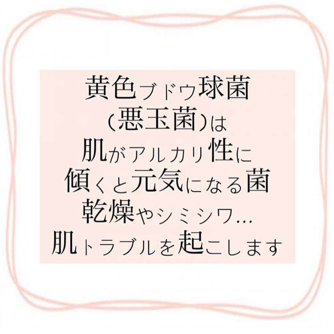 veggy_ambassadorさんのインスタグラム写真 - (veggy_ambassadorInstagram)「Repost from @sumireito_official ﻿ ｢菌｣からつくる"無敵"のうるツヤ肌👸💓﻿ .﻿ 美肌菌育成講座①﻿ .﻿ ～皮膚常在菌のおはなし～﻿ ﻿ ﻿ #料理研究家#玄米#発芽玄米#酵素玄米﻿﻿ #食べて痩せる#ダイエット食#体質改善﻿﻿ #美肌ケア#美肌効果#美肌﻿﻿ #アンチエイジング#インナービューティー﻿﻿ #美腸#腸活腸内環境#発酵食品﻿﻿ #酵素#菌活#オーガニック#マクロビ﻿﻿ #自然食#有機野菜#無農薬野菜#無農薬﻿﻿ #グルテンフリー#動物性不使用#卵不使用﻿﻿ #ダイエット#スポーツ女子#ダイエット女子﻿﻿ #アスリート飯」6月30日 12時50分 - nadeshiko_official_shop