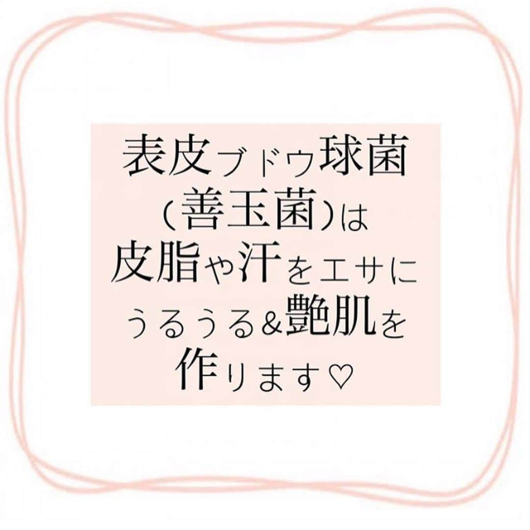 veggy_ambassadorさんのインスタグラム写真 - (veggy_ambassadorInstagram)「Repost from @sumireito_official ﻿ ｢菌｣からつくる"無敵"のうるツヤ肌👸💓﻿ .﻿ 美肌菌育成講座①﻿ .﻿ ～皮膚常在菌のおはなし～﻿ ﻿ ﻿ #料理研究家#玄米#発芽玄米#酵素玄米﻿﻿ #食べて痩せる#ダイエット食#体質改善﻿﻿ #美肌ケア#美肌効果#美肌﻿﻿ #アンチエイジング#インナービューティー﻿﻿ #美腸#腸活腸内環境#発酵食品﻿﻿ #酵素#菌活#オーガニック#マクロビ﻿﻿ #自然食#有機野菜#無農薬野菜#無農薬﻿﻿ #グルテンフリー#動物性不使用#卵不使用﻿﻿ #ダイエット#スポーツ女子#ダイエット女子﻿﻿ #アスリート飯」6月30日 12時50分 - nadeshiko_official_shop