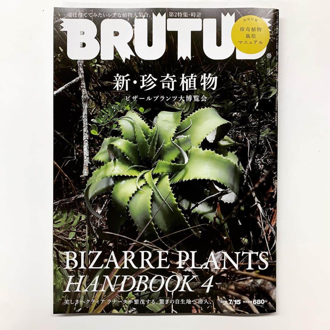 西田善太さんのインスタグラム写真 - (西田善太Instagram)「特集「新・珍奇植物」(7／1発売)は世界の自生地ですごいの見つけてきました。入門に最適、珍奇植物栽培マニュアル付き。#BRUTUS #珍奇植物」6月30日 12時51分 - zentanishida