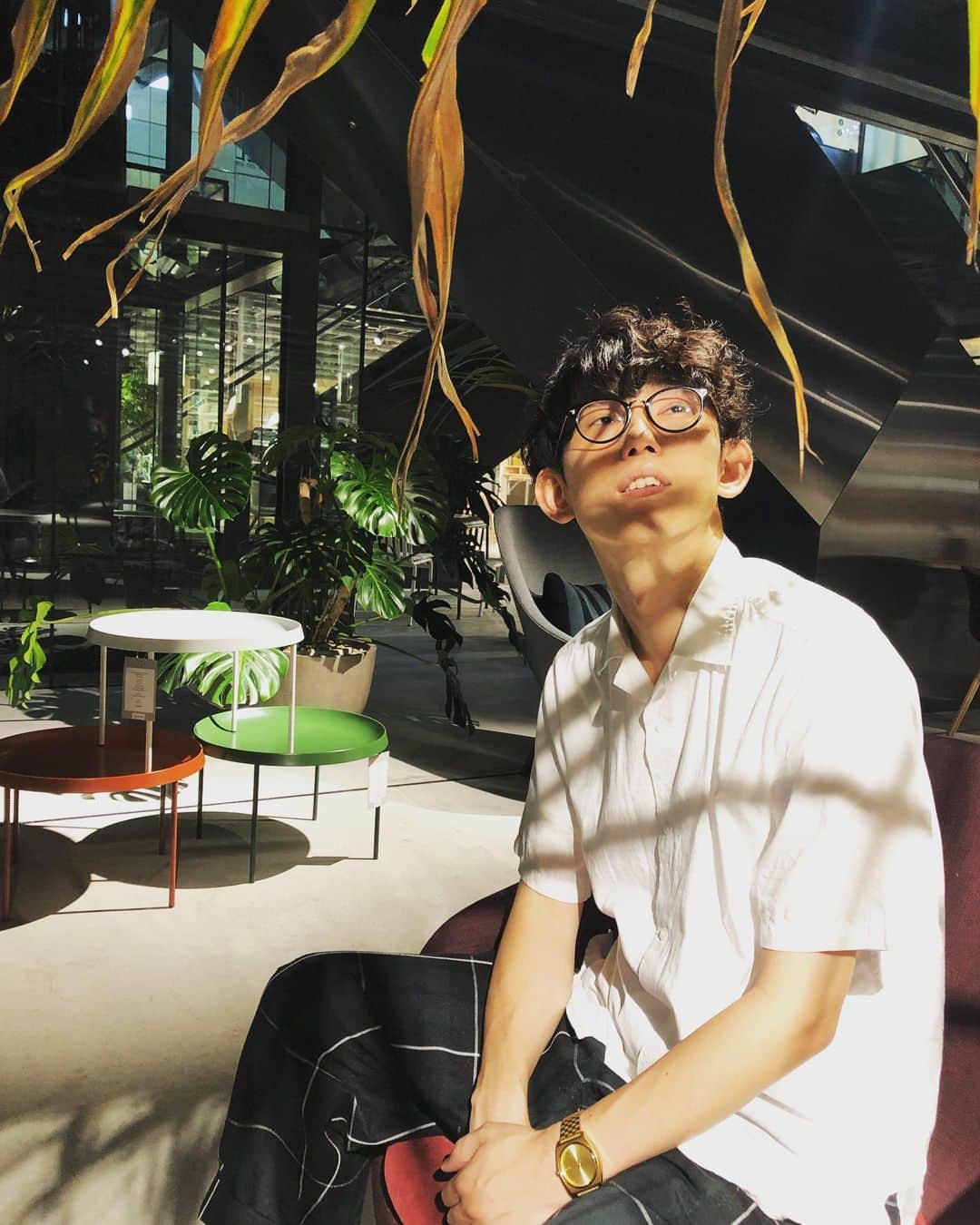 芦沢統人のインスタグラム：「光と陰の間に歯」