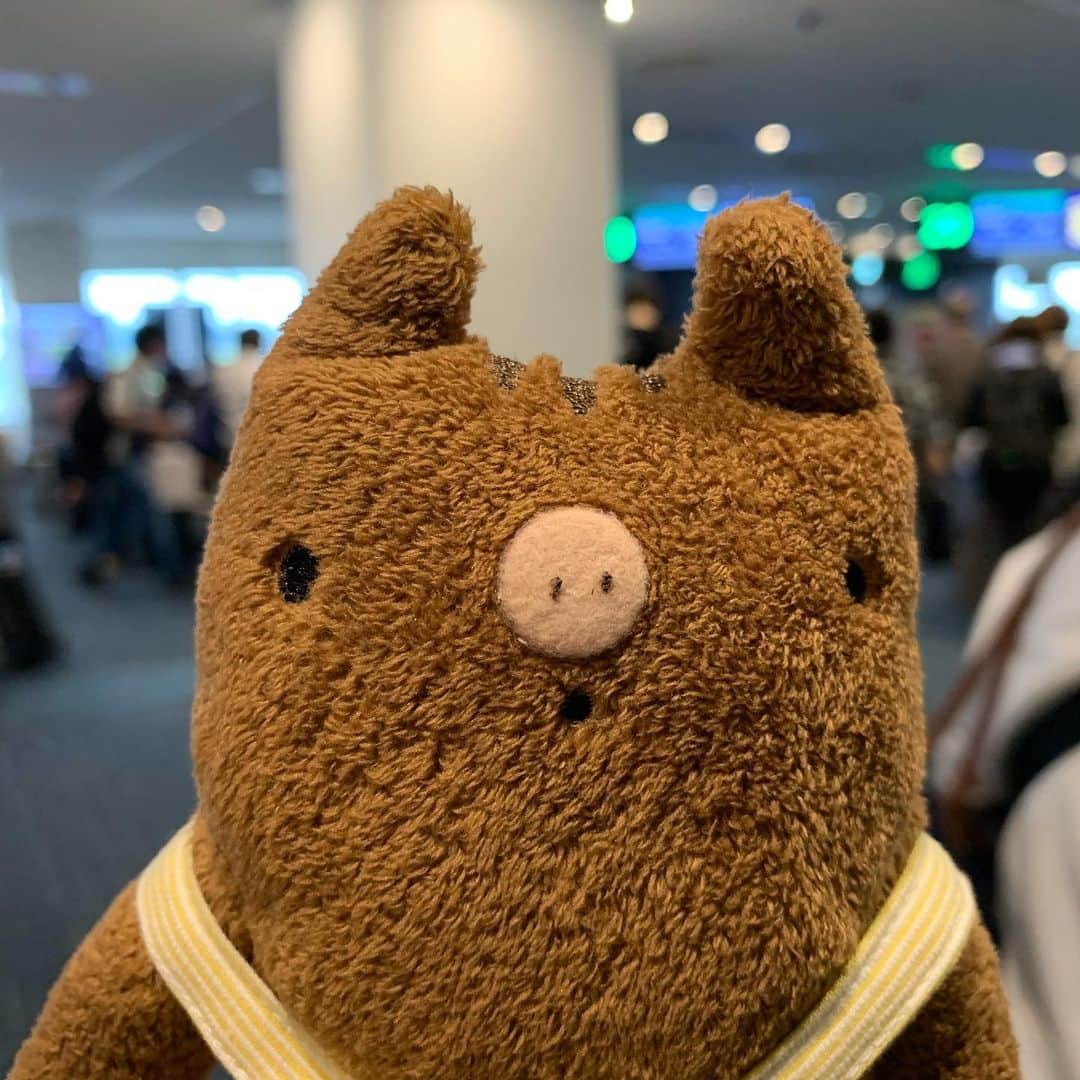 江口ともみのインスタグラム