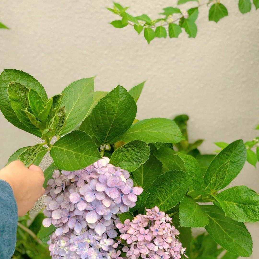 山﨑さおりさんのインスタグラム写真 - (山﨑さおりInstagram)「. 梅雨が始まる6月が好きじゃありませんでした🐌🌂🌼 だけどこれからは👶🏻のお陰で特別な月に♡ 入院中の僕ちゃん🐒表情コロコロ変わるね♡ 明日から7月ですね！ 今年の夏は引きこもりかな？🎐🍧 . . #6月 #June」6月30日 14時02分 - saori_emunjewelry
