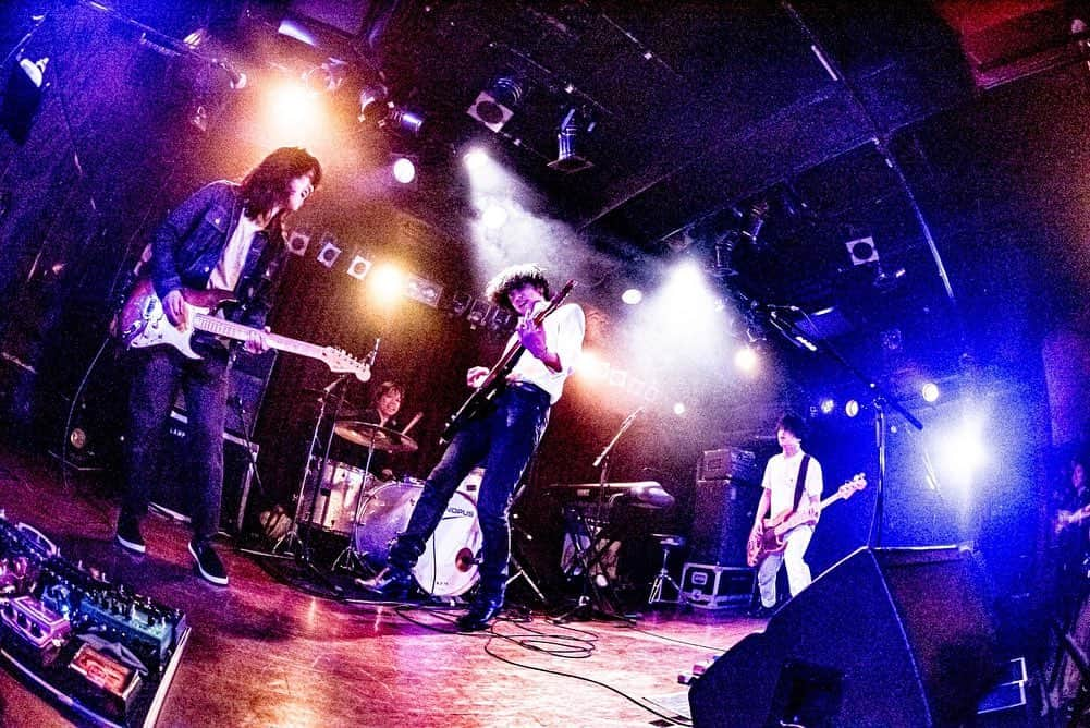 LAMP IN TERRENさんのインスタグラム写真 - (LAMP IN TERRENInstagram)「2019.06.26 定期公演『SEARCH＃15』 photo @hamanokazushi  #テレン #lampinterren #LIT_SEARCH」6月30日 14時07分 - lampinterren