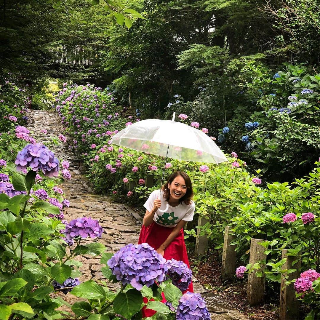 鉢嶺杏奈さんのインスタグラム写真 - (鉢嶺杏奈Instagram)「ある雑誌の撮影。 幸田町の取材をしました♬  今の時期！もちろん！ 紫陽花は見ちゃうよねー❤️ 本光寺にある紫陽花ロードが とても綺麗でした！ 先代から少しずつ挿し木をして増やしたそう！  満開の綺麗な紫陽花の数で つながりと歴史を感じる あったかい場所でした♬  #紫陽花 #幸田町 #本光寺」6月30日 14時29分 - hachimine_anna