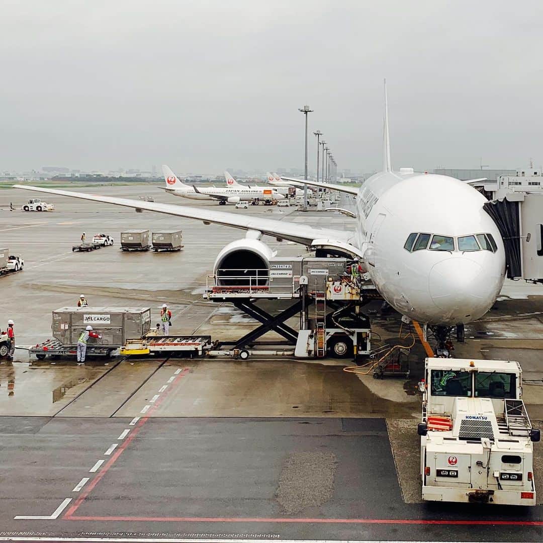 のインスタグラム：「JL0521, JA772J 搭乗なう。 #HND #CTS」