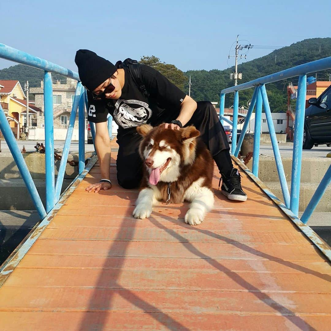 シンバさんのインスタグラム写真 - (シンバInstagram)「#개스타그램 #생일스타그램 #개 #강아지 #dog」6月30日 15時38分 - simba_jjcc